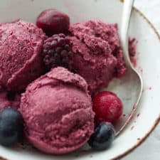 Instant Blender Frozen Yogurt, Sorbet and Ice Cream - In the Kitchen with  Honeyville